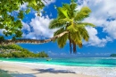 Idyllic Beach, Seychelles